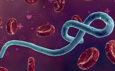 Nitazoxanida para prevenir ebola