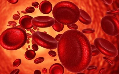 Hemoglobina de reticulocito en anemia